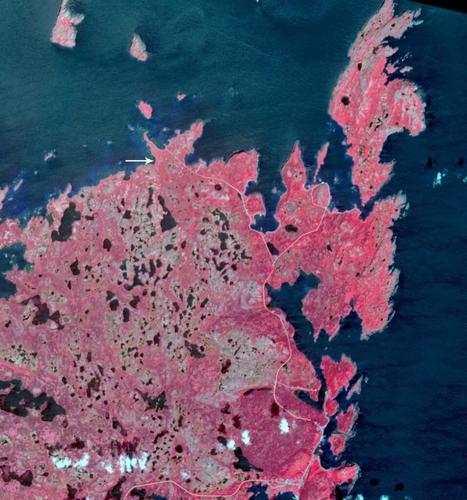 False-color satellite image of the northern tip of Newfoundland, with plant cover shown in red
