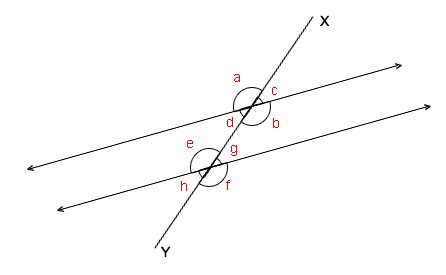 Transversal XY crossing two parallel lines, with eight angles labeled a to h