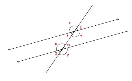 Transversal crossing two parallel lines with angles labeled e, g, h, f, x, w, z and y